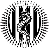 calendario calcio CESENA