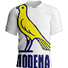 assist fantacalcio MODENA