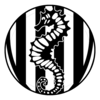 PESCARA-CESENA
